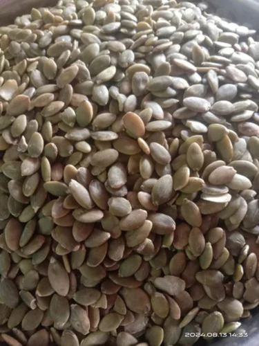 Roasted Pumpkin Seed