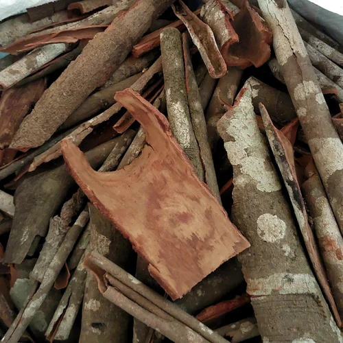 Cinnamon Stick