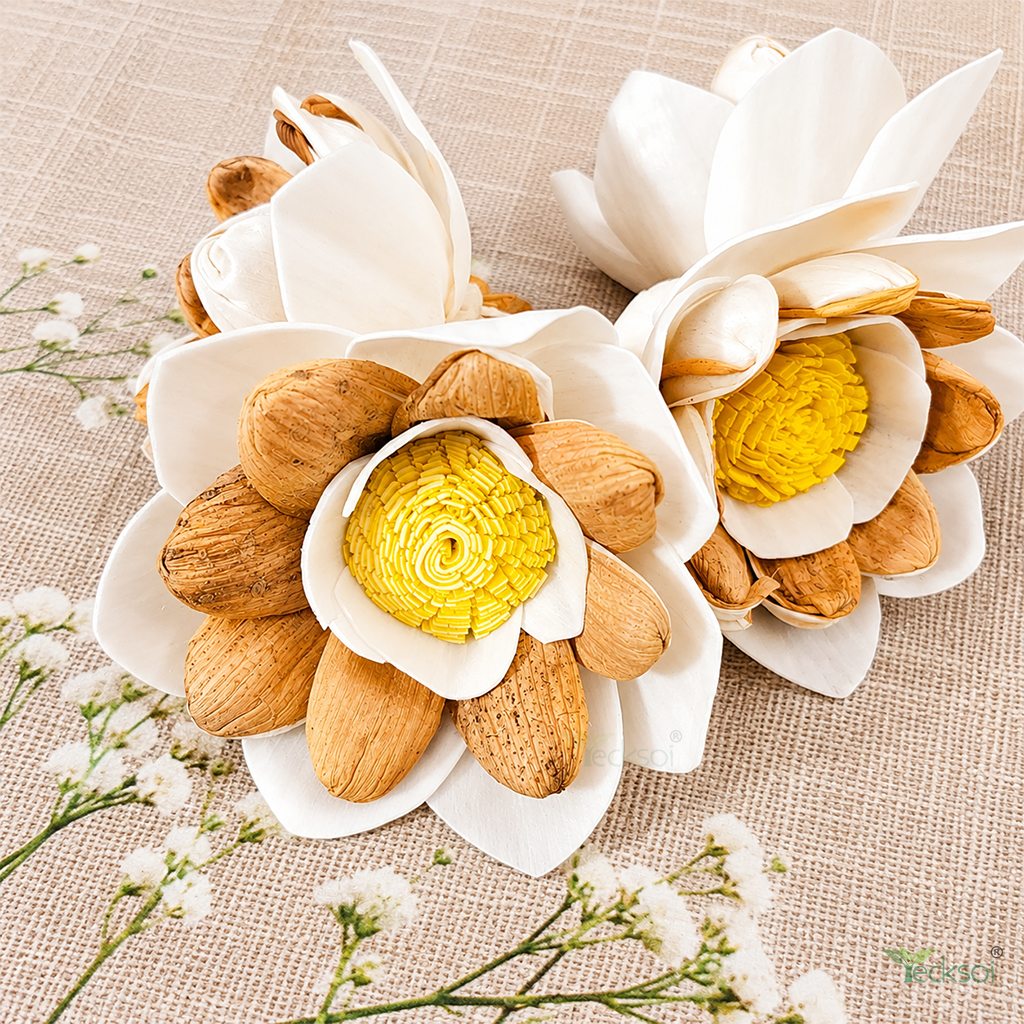 Tecksoi Brown Beauty Waterlily Sola Flower - Color: Natural