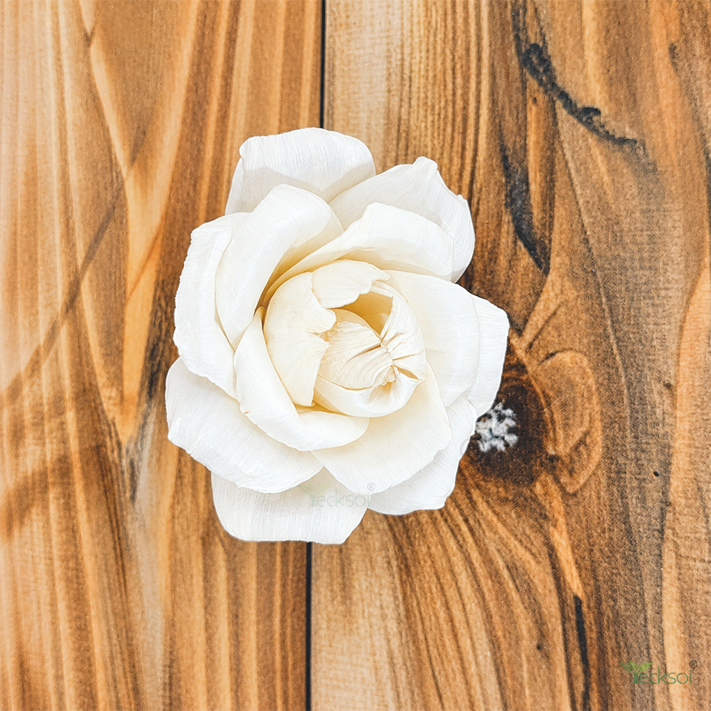 Tecksoi Hybrid Tea Rose Sola Flower - Color: Natural