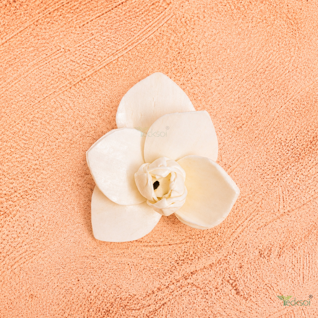 Tecksoi Orchid Sola Flower - Color: White