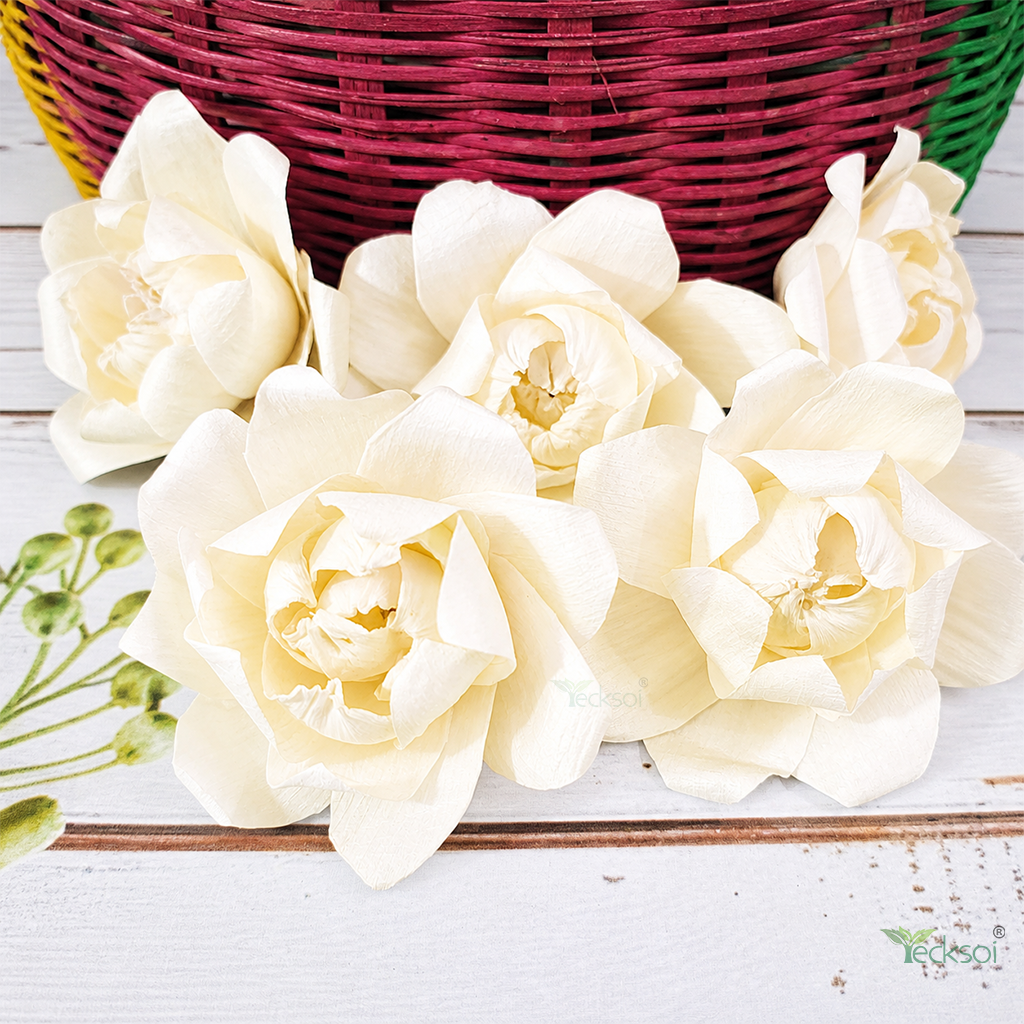 Tecksoi Twist Curve Sola Wood Flower - Color: Natural