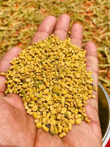 Yellow Organic Fenugreek Seeds