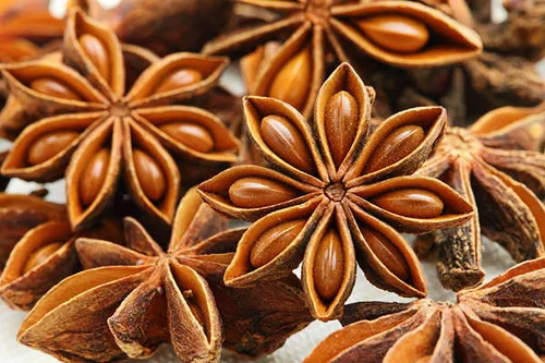 Autumn Star Anise Flower