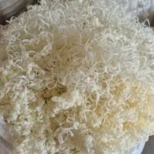 Cream Nylon Scrap