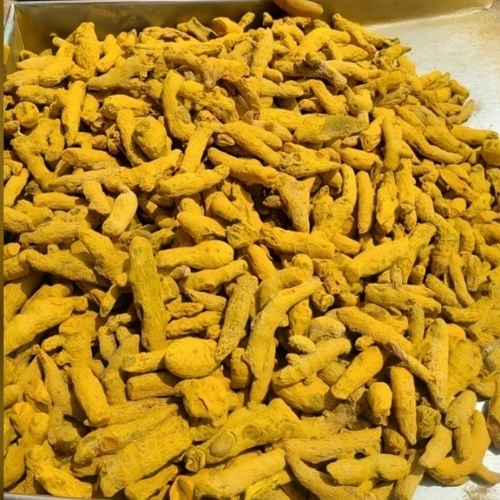 Dried Turmeric Finger - Color: Yellow