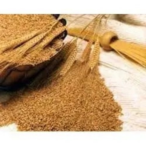 Nutrient Rich Sharbati Wheat