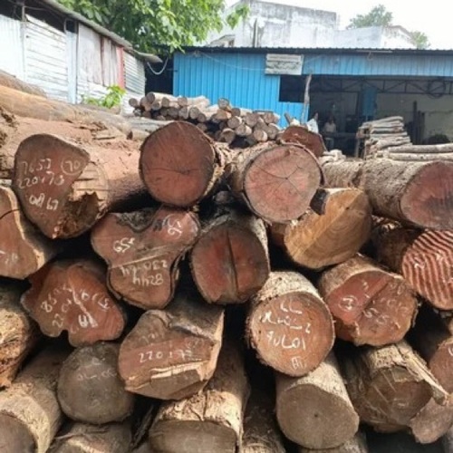 Sagwan Wood - Feature: Termite Resistance
