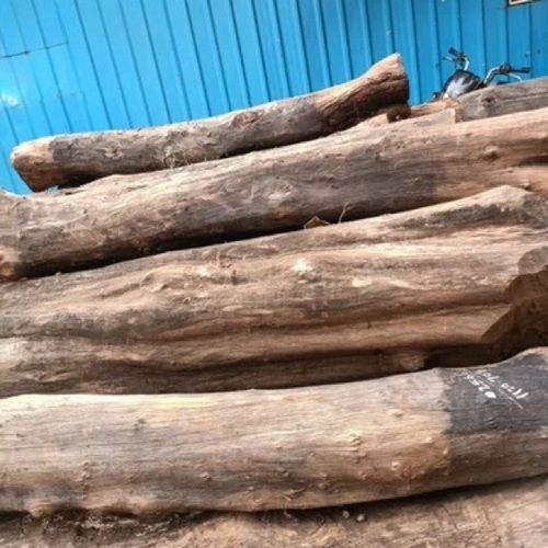 Saja Wood