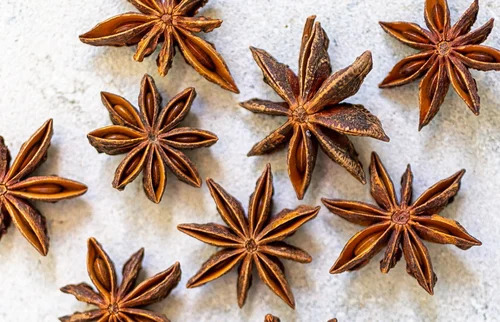 Spring Star Anise Flower