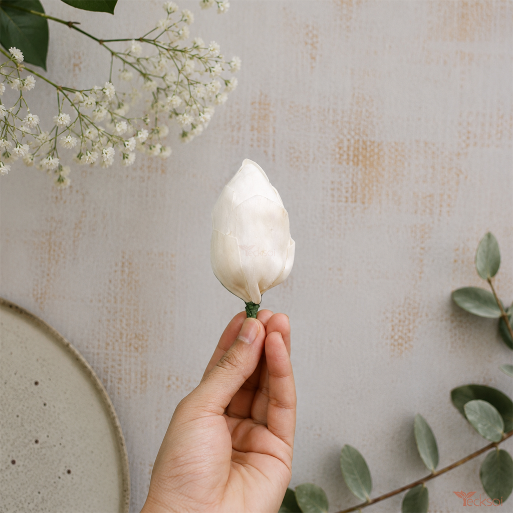 Tecksoi Natural Sola Wood Lotus Buds Flower - Shelf Life: 2 Years