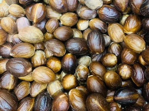 Whole Nutmeg Shell