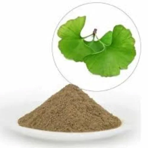Ginkgo Biloba का अर्क