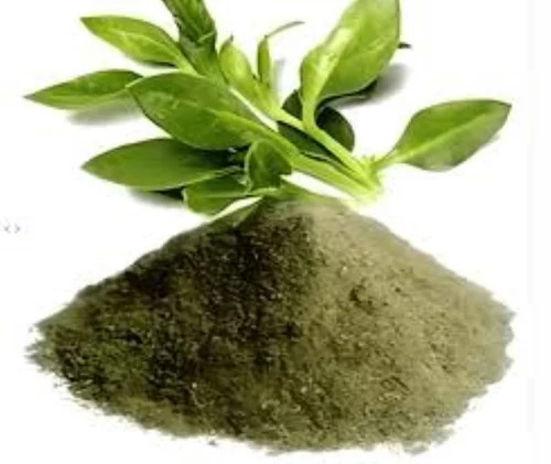कालमेघ ड्राई एक्सट्रैक्ट पाउडर