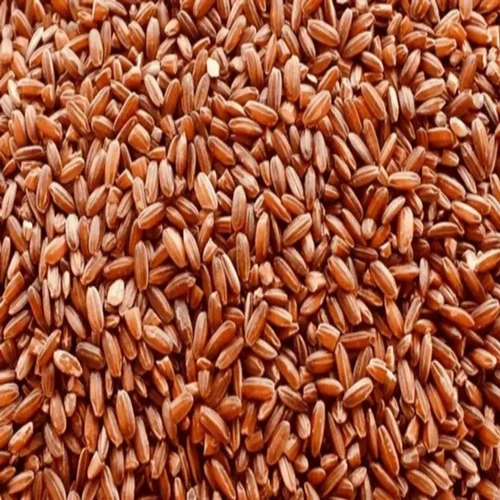 Organic Navara Red Rice