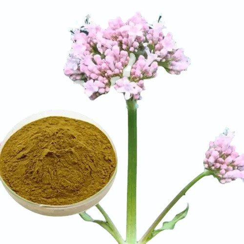 Valerian Extract 0.8%