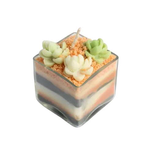 Soy Wax Terrarium Candles