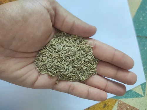 95 % Cumin Seed