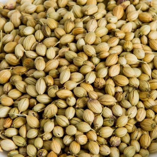 Dried Coriander Seed