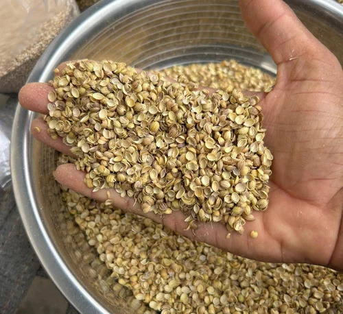Natural Split Coriander Seeds
