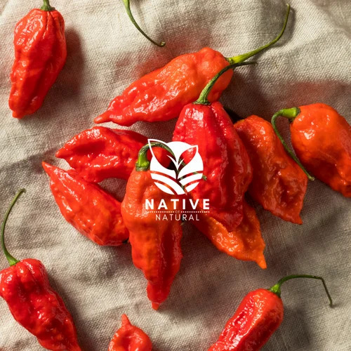 Organic Bhut Jolokia Chilli Dried