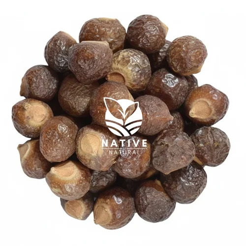 Soap Nut Dried