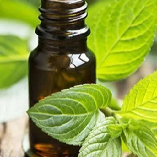 Spearmint Oil