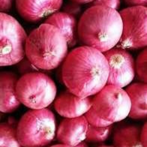 Onion
