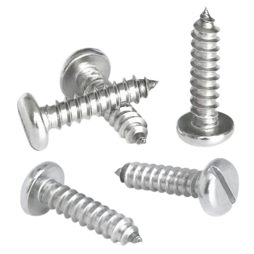 Silver Flat Head Screws