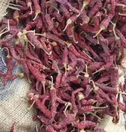 Byadgi Red Chilli