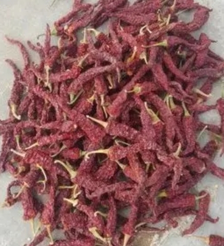Dry Red Chilli