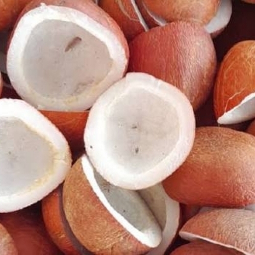 Rich Flavor Coconut Copra