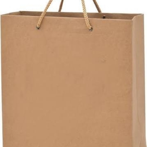 Brown Paper Carry Bag