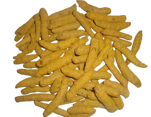 Dried Turmeric Finger