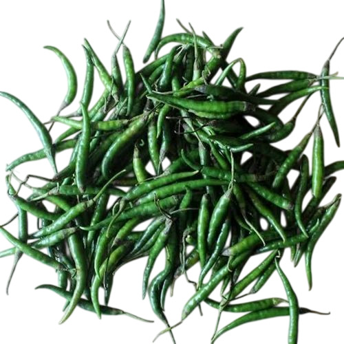 Fresh Green Chilli