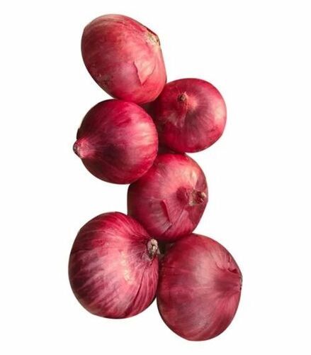 Fresh Onion
