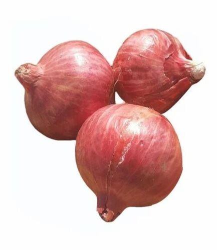 Fresh Onions