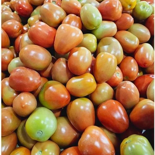 Fresh Tomato