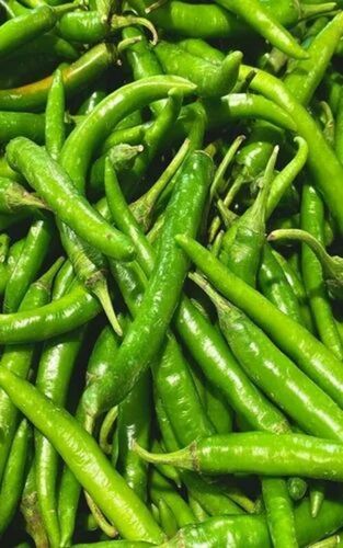 G4 Green Chilli