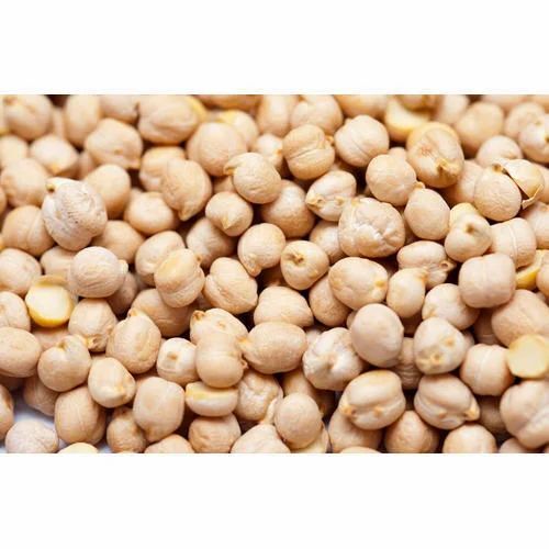 Kabuli Channa