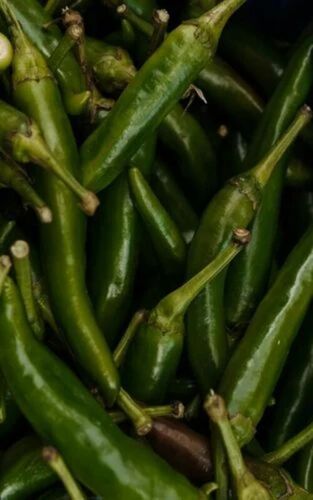 Green Chilli
