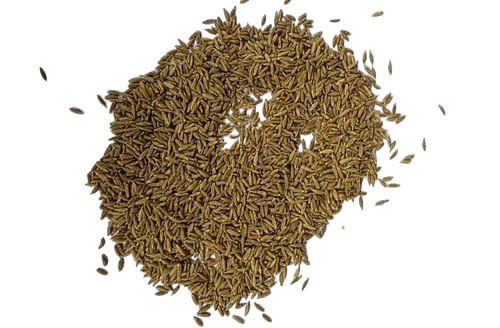 Loose Jeera Cumin Seeds