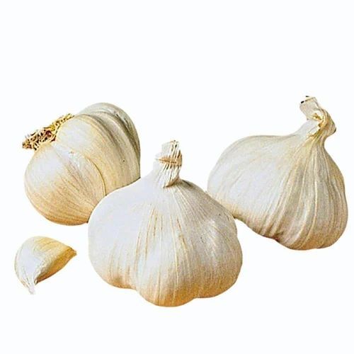 Natural Fresh Garlic
