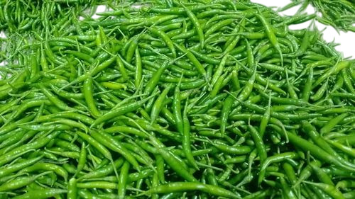 Natural Fresh Green Chilli