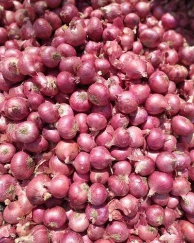 Red Onion
