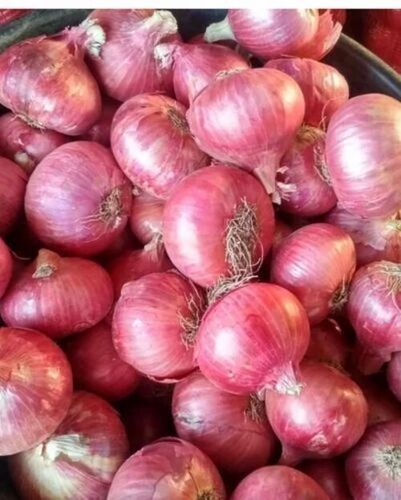 Red Onion