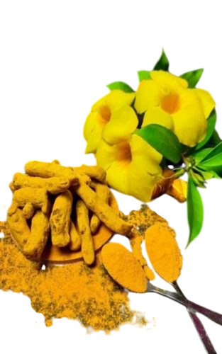 Salem Turmeric Finger