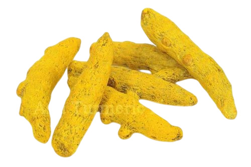 Yellow Turmeric Finger