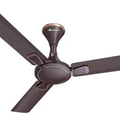 Fans