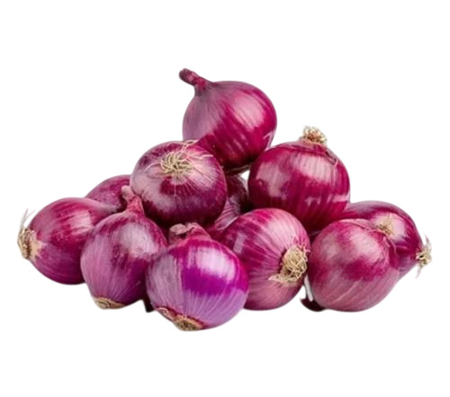 Fresh Bellary Red Onion